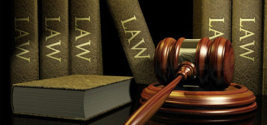 Why international students should study law in the UK